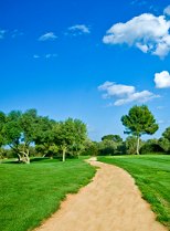 Public Relations. Library Image: Path to oak Tree